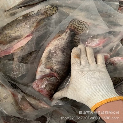 正宗鲜活腌制安徽臭鳜鱼厂家直供鲜活冷冻鳜鱼净膛腌制桂花鱼图3