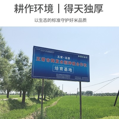 东北大米五常黑米500g五谷杂粮紫米煮粥健身黑米饭粥米厂家批发图2