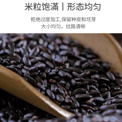 东北大米五常黑米500g五谷杂粮紫米煮粥健身黑米饭粥米厂家批发图3