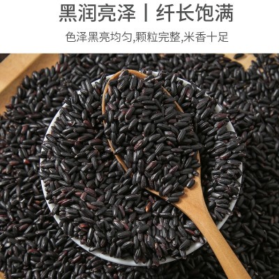 东北大米五常黑米500g五谷杂粮紫米煮粥健身黑米饭粥米厂家批发图4