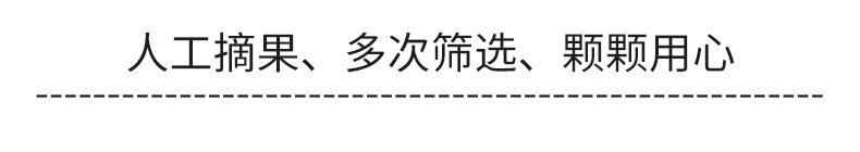 苹果详情_09