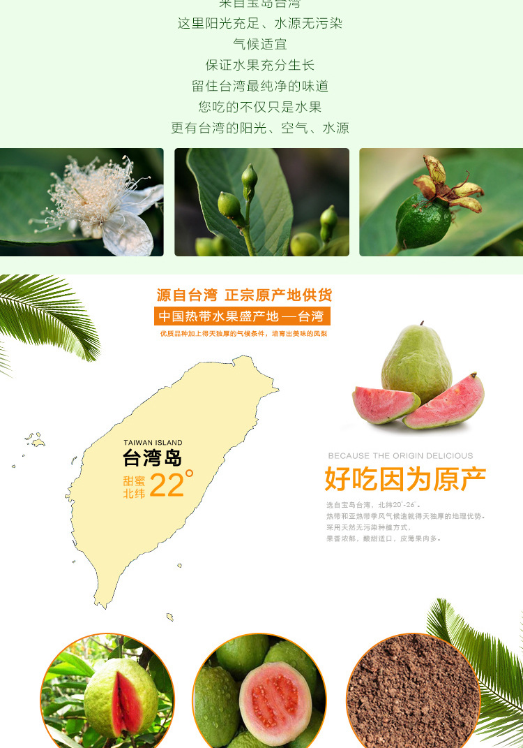 芭乐详情_05