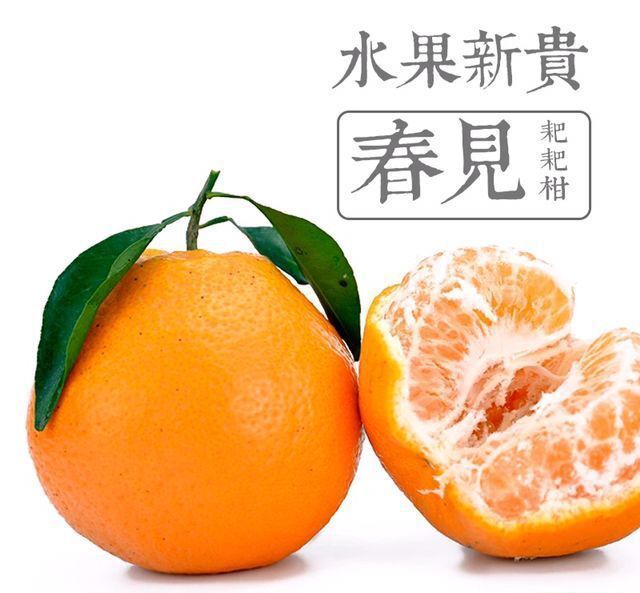 春2