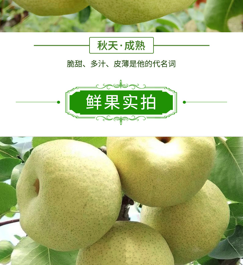 详情1_08.jpg