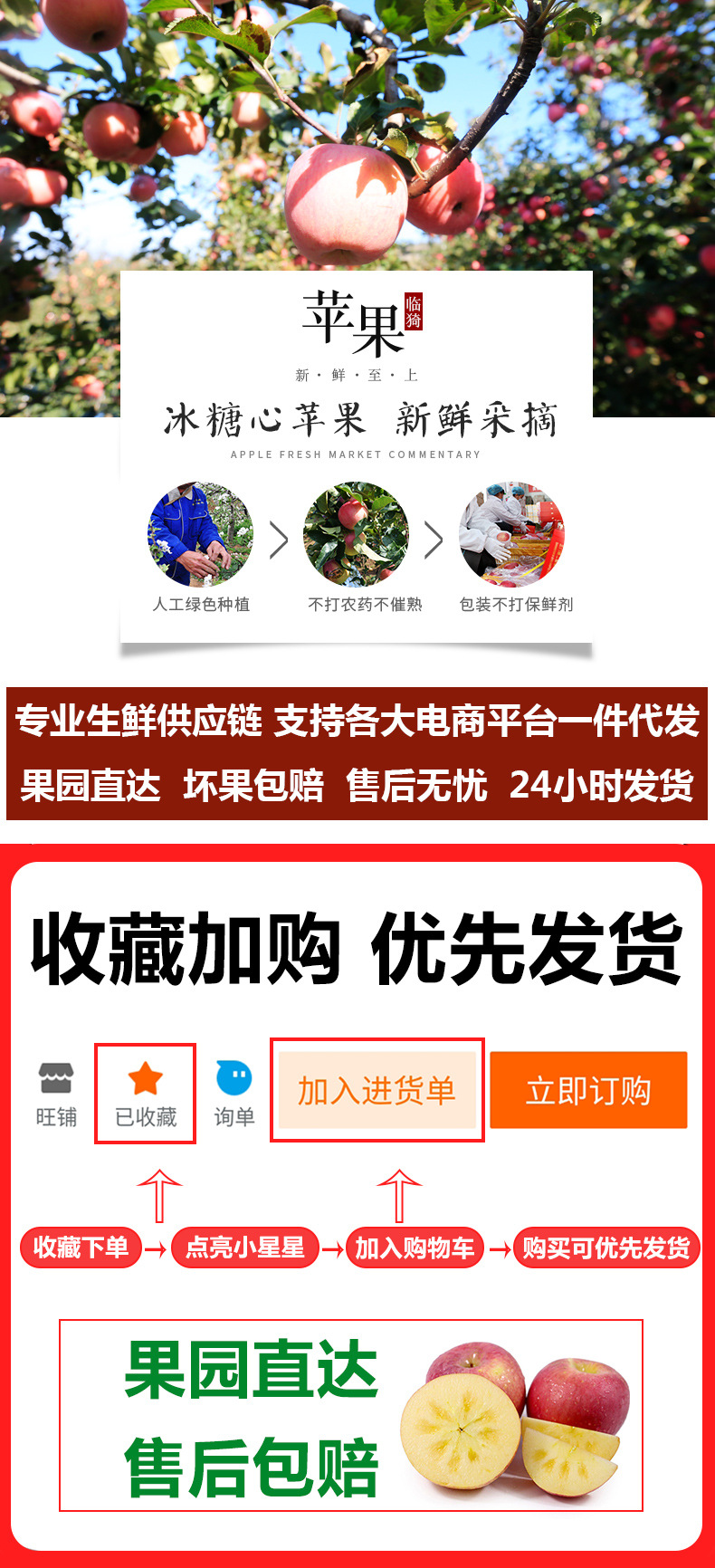 苹果新首图