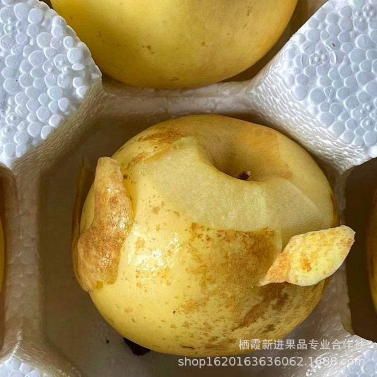 750-1_副本.jpg