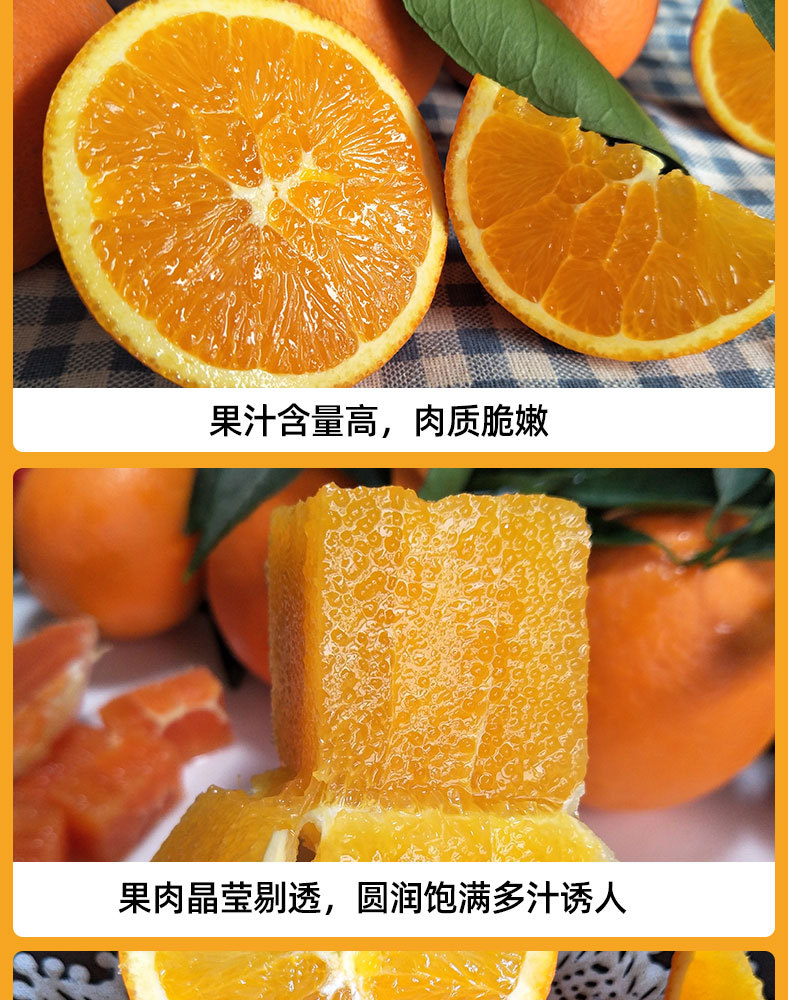 纽荷尔_03.jpg
