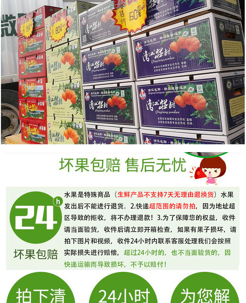 椪柑pf_14