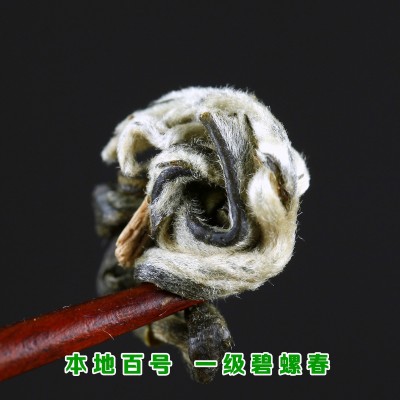 云南唐茗茶叶 浓香滇绿茶 2024明前一级新茶百号碧螺春散装 批发图2