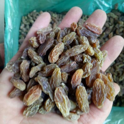 新疆跑江湖绿色葡萄干 20斤整箱食品烘焙馅料干果 地摊货绿葡萄干图2