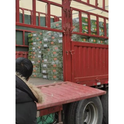 新货椰枣大粒散装整箱黑椰枣伊朗黑椰枣干果批发10公斤图4