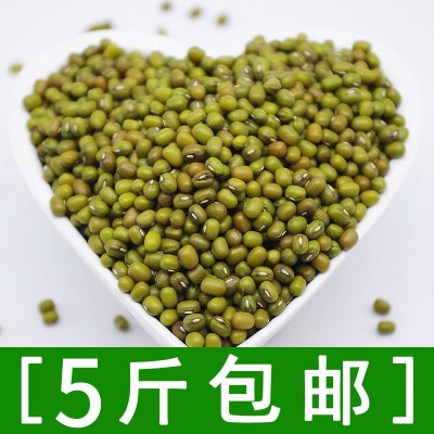 厂家直销杂粮粗粮东北产绿豆批发500g 部分地区5斤包邮图5