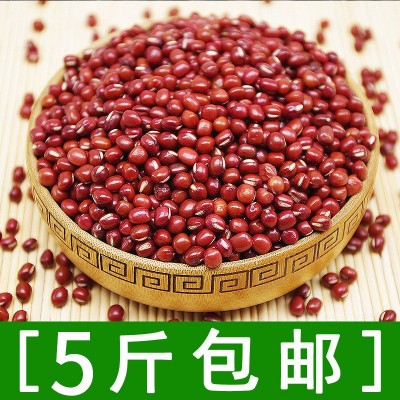 新东北珍珠小红豆小赤豆红小豆批发圆润饱满500g图5
