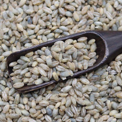 新货青稞米低温烘焙工厂现货批发青海特产青稞米五谷杂粮代餐粗粮图2