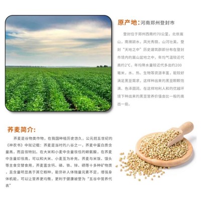 低温烘焙熟荞麦粗粮五谷杂粮磨粉原料荞麦仁荞麦米三角米工厂直供图3