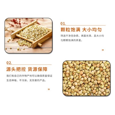 低温烘焙熟荞麦粗粮五谷杂粮磨粉原料荞麦仁荞麦米三角米工厂直供图4