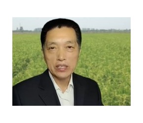没想到，工艺不同，功效差别那么大