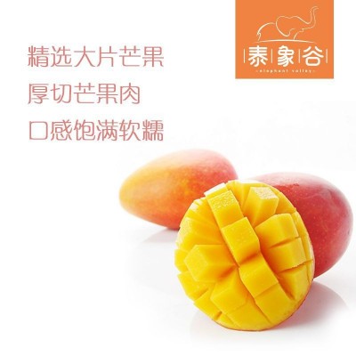 厂家直供果脯蜜饯休闲零食泰象谷芒果干500克 酸甜味图2