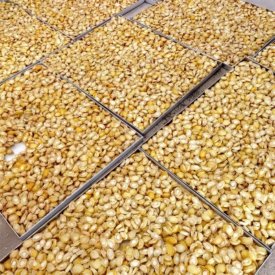 炖煮不缩水FD无壳鲍鱼肉冷水速发鲍鱼 冻干鲍鱼干货批发图3