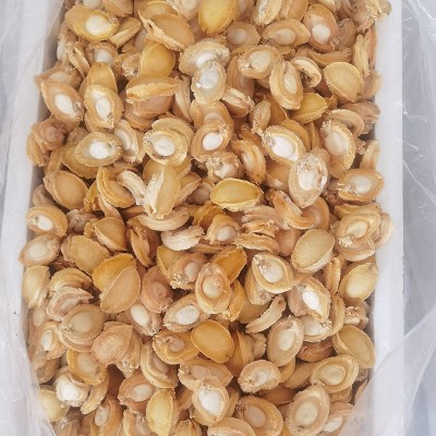 炖煮不缩水FD无壳鲍鱼肉冷水速发鲍鱼 冻干鲍鱼干货批发图5