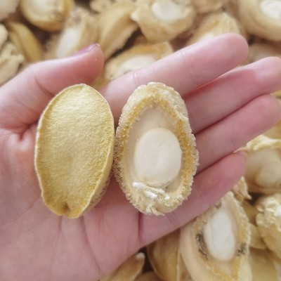 炖煮不缩水FD无壳鲍鱼肉冷水速发鲍鱼 冻干鲍鱼干货批发图2