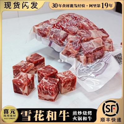 雪花和牛 1斤/袋牛肉粒澳迈诗谷饲肥 安格斯和非进口原切牛肉冷冻图3