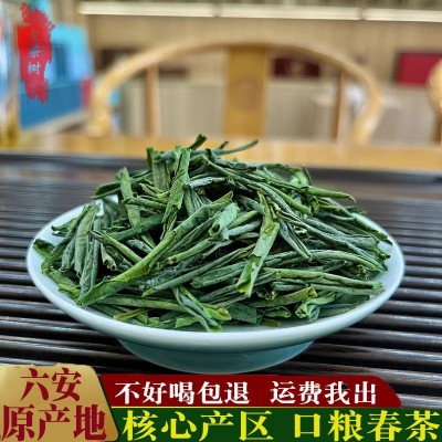 2024年新茶绿茶口粮款六安瓜片茶叶加工定制图2