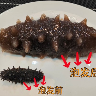 {大连工厂}淡干海参50g干货批发野生礼盒装辽参一件代发电商海参图3