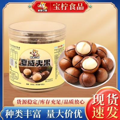 新货奶香味大颗粒夏威夷果休闲每日坚果烘焙干果零食礼包厂家货源