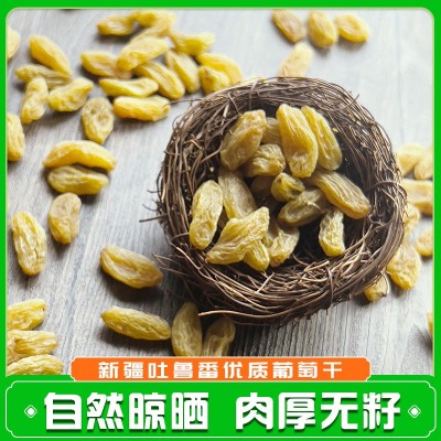 新疆特产葡萄干绿宝石大颗粒烘焙原料树上黄代发包邮无核白葡萄干图2