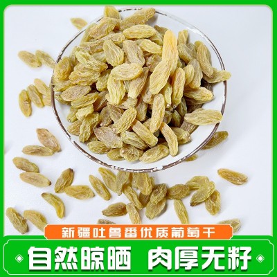 新疆特产葡萄干绿宝石大颗粒烘焙原料树上黄代发包邮无核白葡萄干图3