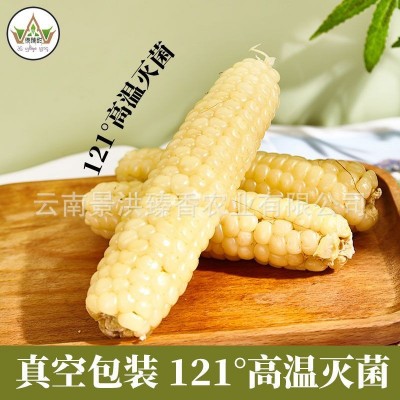 A级 云南西双版纳姆指小玉米非转基因小玉米迷你甜糯新鲜白糯玉米图4