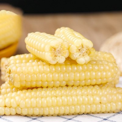 A级 云南西双版纳姆指小玉米非转基因小玉米迷你甜糯新鲜白糯玉米图2