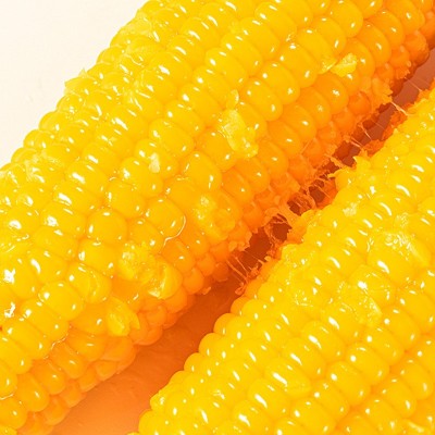 东北黄糯玉米十根 粘糯玉米真空包装整箱玉米棒加热即食代发批发图2