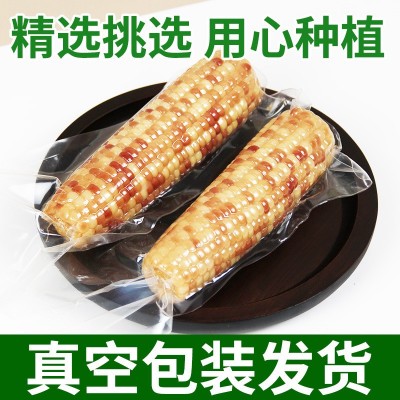 花糯小玉米西双版纳甜糯玉米包谷独立包装当季新鲜采摘真空装即食图3