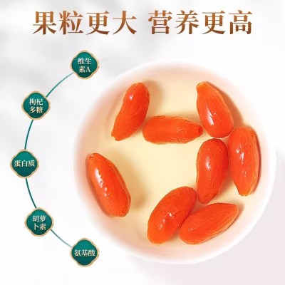 宁夏红枸杞头茬新货批发代发500g 枸杞子大颗果干泡水煮粥红枸杞图4