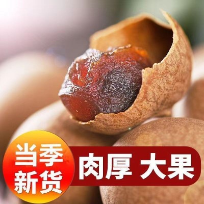 代发福建桂圆干批发500g零食大颗龙眼干大果干桂圆泡水煲汤龙眼干图2