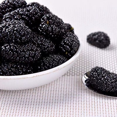 严选四川黑桑葚干无沙新货椹子干批发250g 大颗粒桑葚泡水滋补桑图3