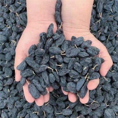 新疆特产黑加仑葡萄干 黑加仑个大500g 干果零食批发图4