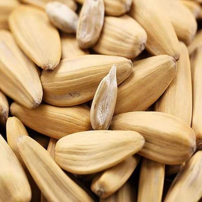 新货原味瓜子散装多味古法白瓜子大颗粒坚果炒货休闲零食厂家批发图4