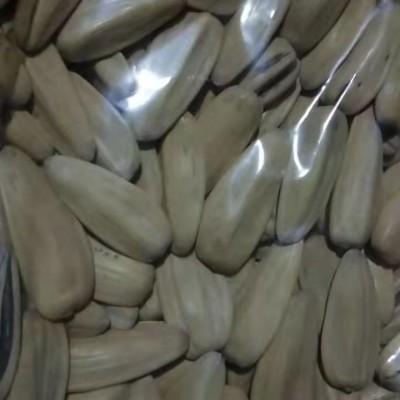 白皮瓜子大颗粒多味五香瓜子古法葵花籽新货现炒瓜子零食图4