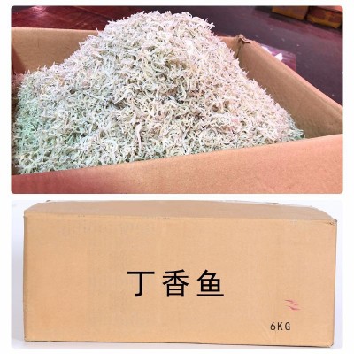 东海丁香鱼 新鲜淡晒丁香鱼 面条鱼 银鱼 一箱12斤 一箱可售图5