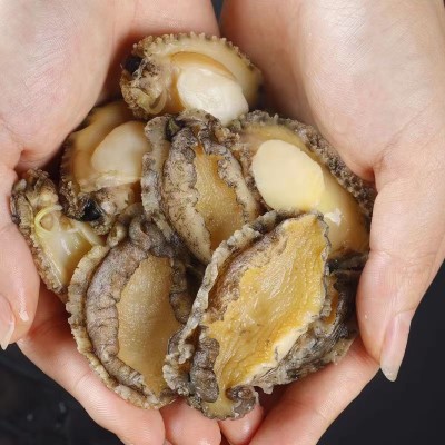 鲍鱼冷冻纯肉无壳非干货300g深海鲍孕妇宝宝捞汁海鲜即食鲍鱼图4