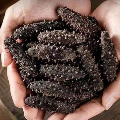 大连深海底播海参干货散装50g简装高泡发非养殖辽刺参12倍泡发图2