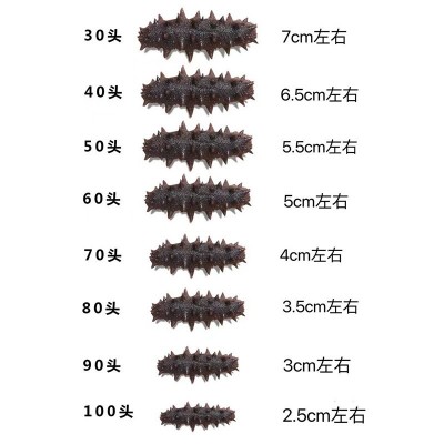 大连深海底播海参干货散装50g简装高泡发非养殖辽刺参12倍泡发图5