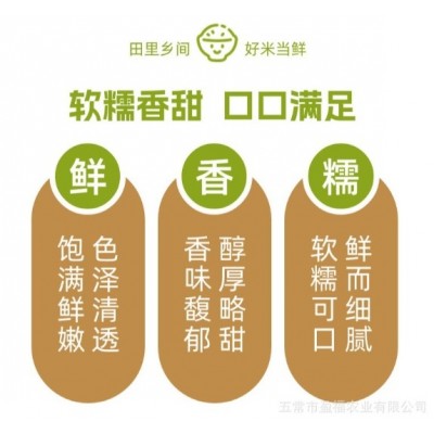 【田里乡间】2024年新米上市 东北长粒香大米新鲜现磨产地直发 5kg图3