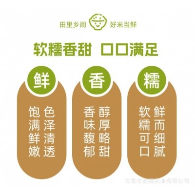 【田里乡间】2024年新米上市正宗五常大米产地直发10kg编织袋餐饮图3