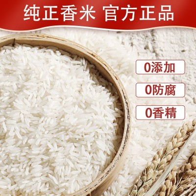 泰皇10斤装乌汶府茉莉大米2024新米10斤米批发粮油长粒香米整箱图3