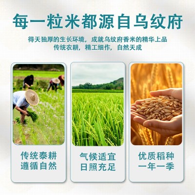 泰皇10斤装乌汶府茉莉大米2024新米10斤米批发粮油长粒香米整箱图4