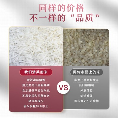 10斤长粒香米大米粮油团购礼品泰国清莱府茉莉香米新米5KG整箱图2